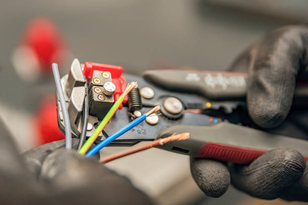 Best Electric Panel Repair  in Shallowater, TX